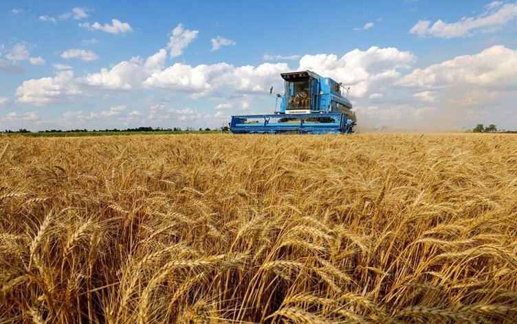 پارەی گەنمی جوتیاران گەیشت