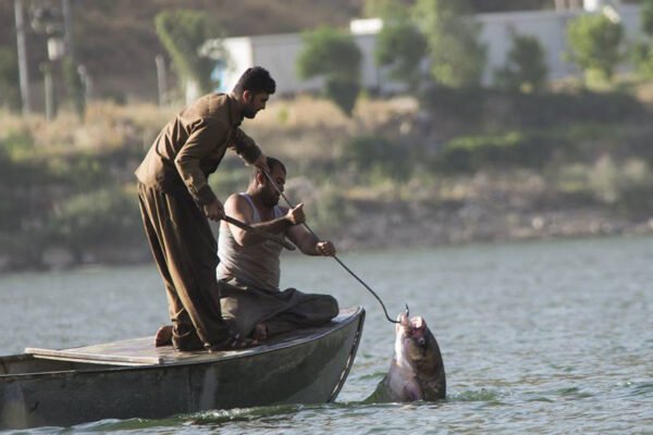 قەدەغەی ڕاوکردنی ماسی لە هەرێمی کوردستان کۆتاییهات