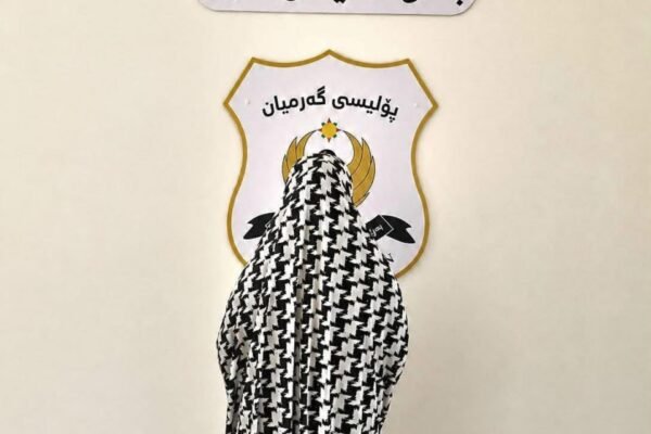  ژنێک بە تۆمەتی دزینی زیاتر لە 8 ملیۆن دینار دەستگیرکرا